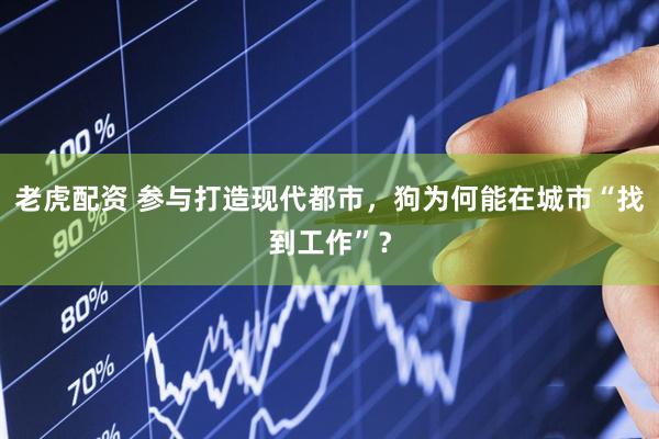 老虎配资 参与打造现代都市，狗为何能在城市“找到工作”？