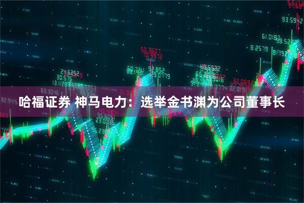 哈福证券 神马电力：选举金书渊为公司董事长