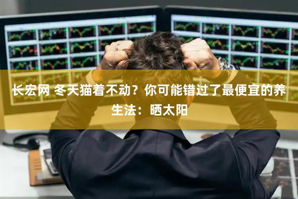 长宏网 冬天猫着不动？你可能错过了最便宜的养生法：晒太阳